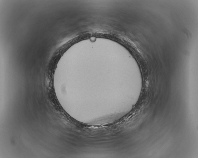 X0000110971303200907171702