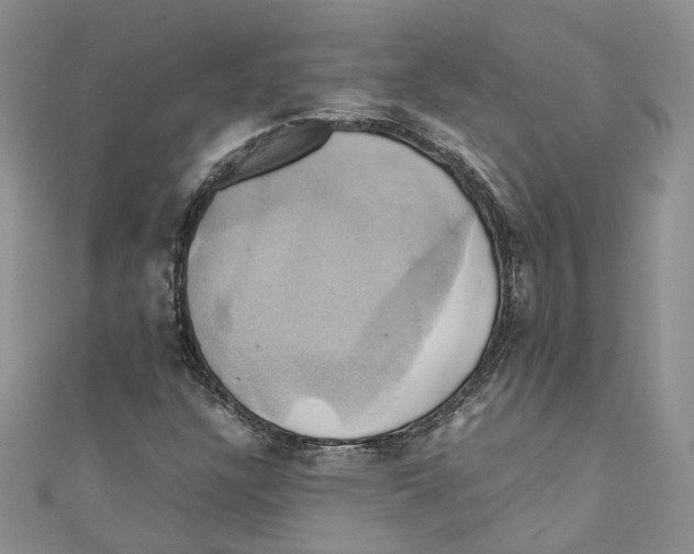 X0000110971304200907171702