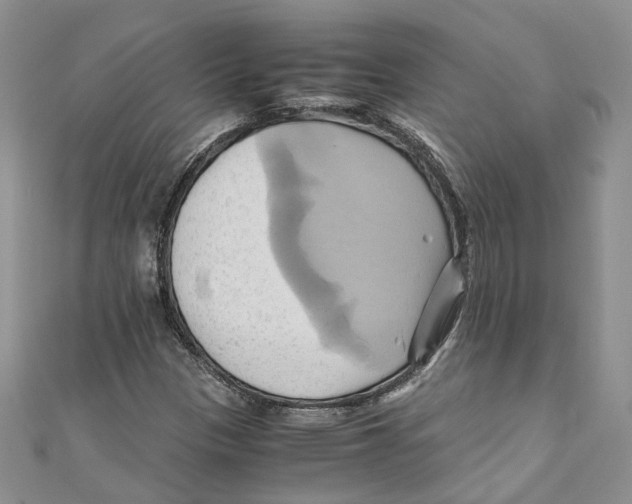 X0000110971305200907171702