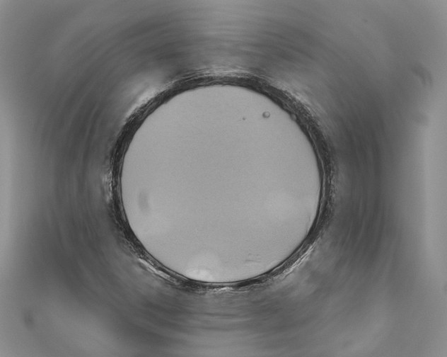 X0000110971306200907171702