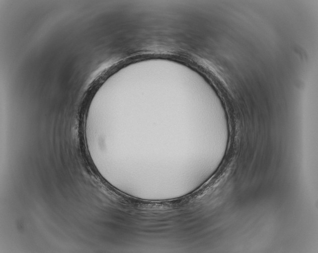 X0000110971307200907171702