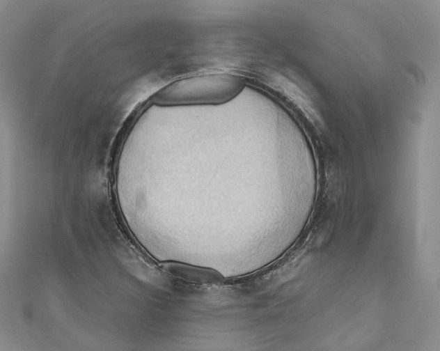 X0000110971308200907171702
