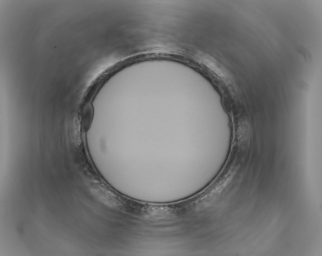 X0000110971310200907171702