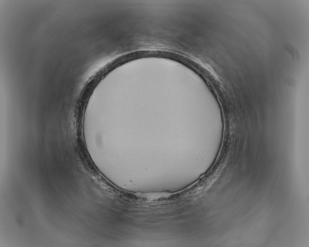 X0000110971311200907171702