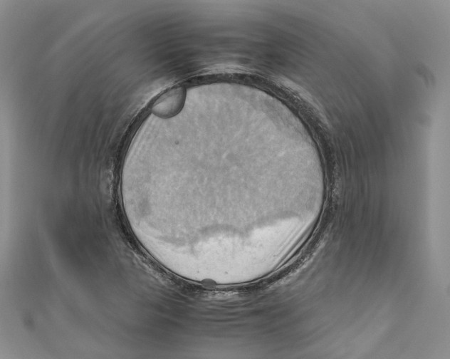 X0000110971313200907171702