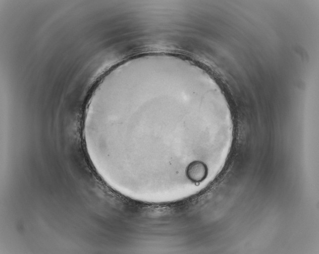 X0000110971314200907171702
