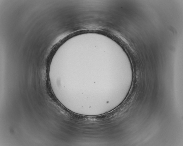 X0000110971315200907171702