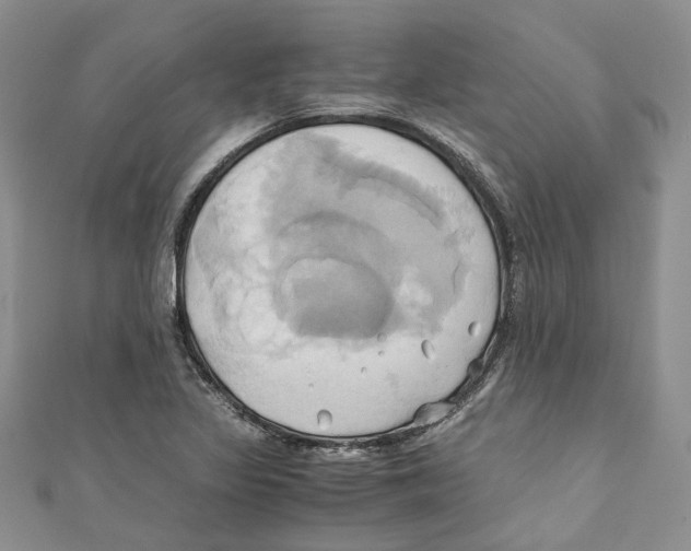 X0000110971317200907171702
