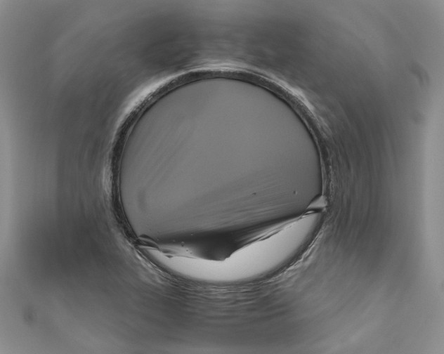 X0000110971319200907171702