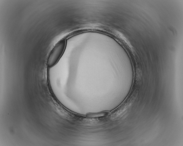 X0000110971320200907171702