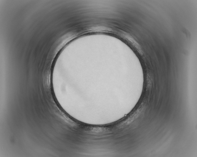 X0000110971322200907171702