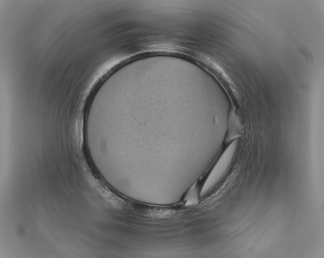 X0000110971323200907171702