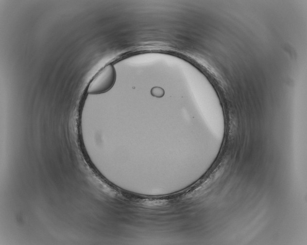 X0000110971325200907171702