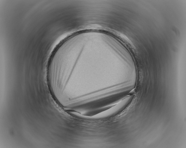 X0000110971326200907171702