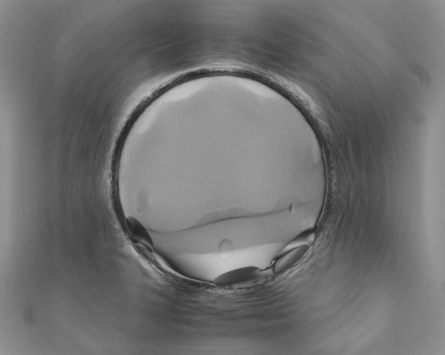X0000110971327200907171702