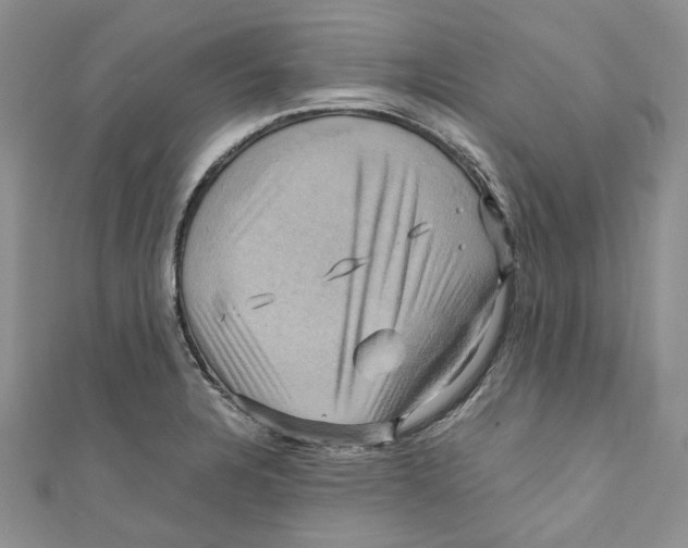 X0000110971328200907171702