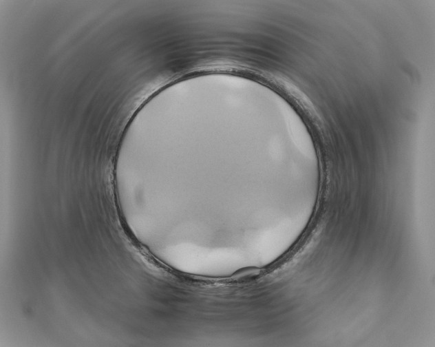 X0000110971329200907171702