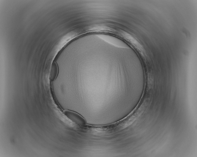 X0000110971330200907171702