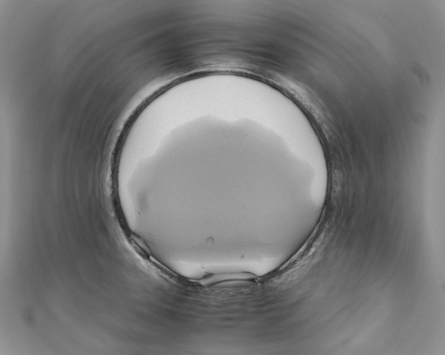 X0000110971331200907171702