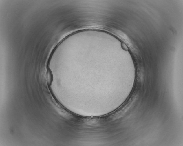X0000110971332200907171702