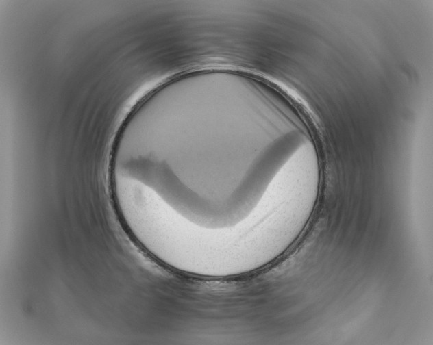 X0000110971333200907171702