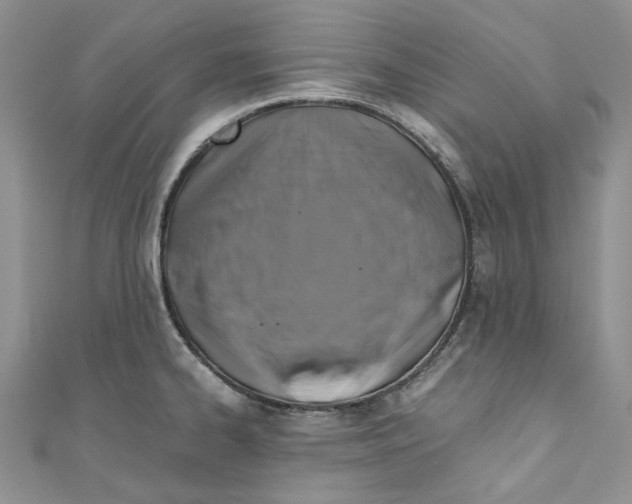 X0000110971334200907171702
