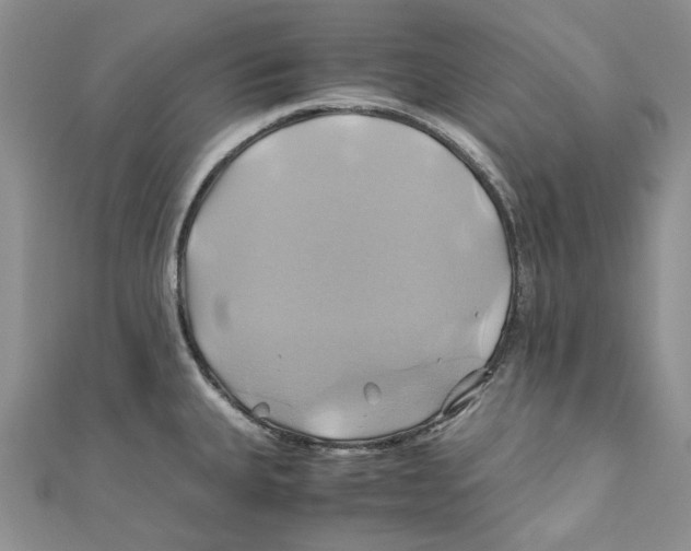 X0000110971335200907171702
