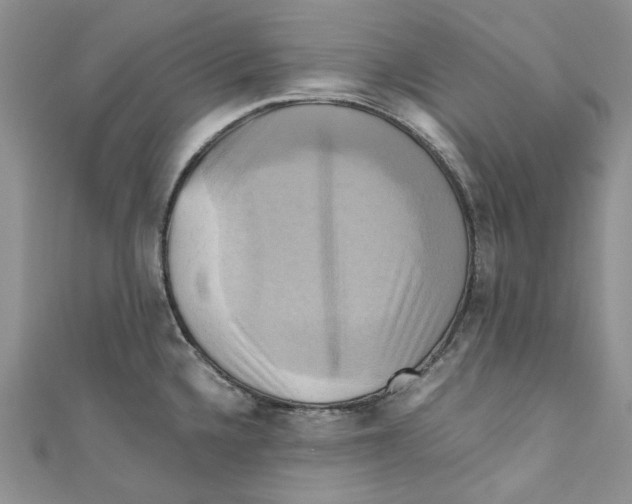 X0000110971336200907171702