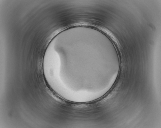 X0000110971337200907171702