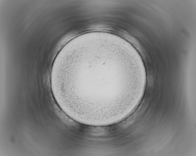 X0000110971338200907171702