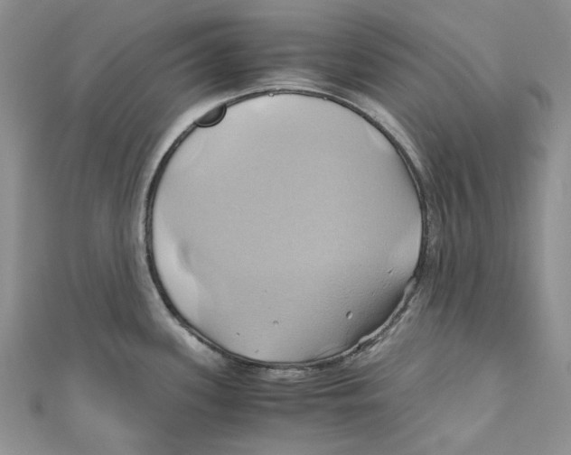 X0000110971339200907171702
