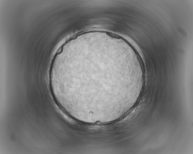 X0000110971341200907171702