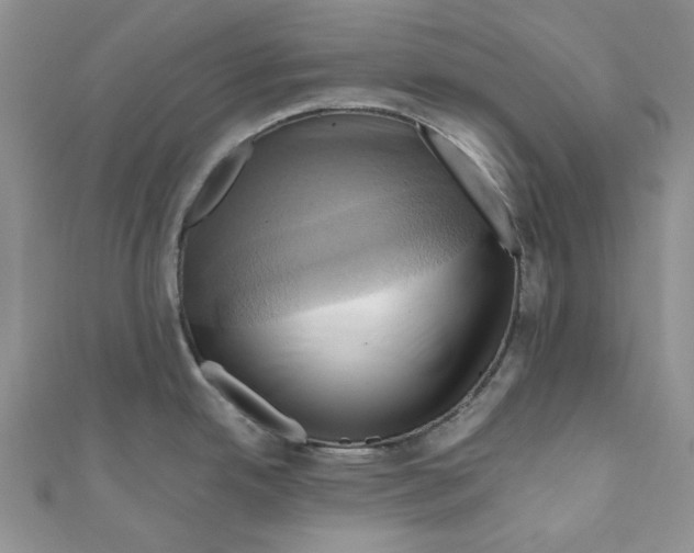 X0000110971342200907171702