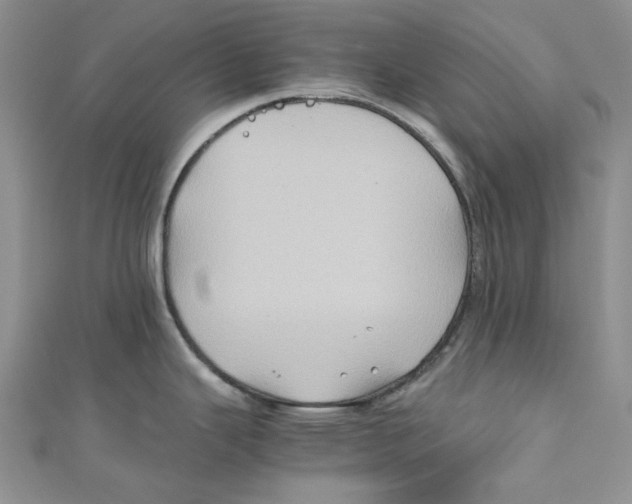 X0000110971343200907171702