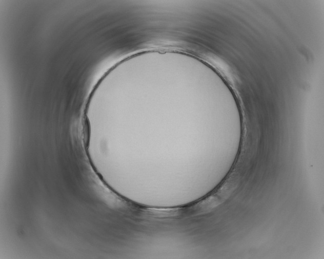 X0000110971344200907171702