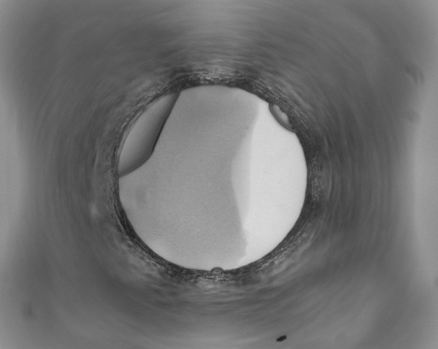 X0000110971345200907171702