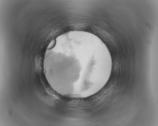 X0000110971346200907171702