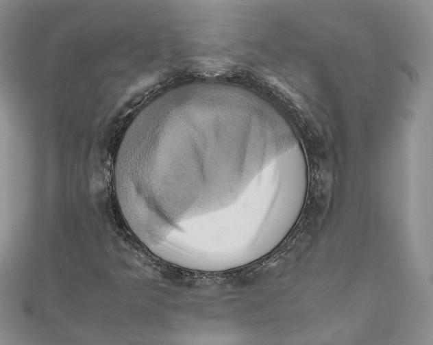 X0000110971349200907171702