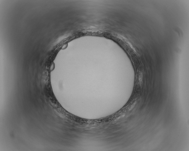 X0000110971350200907171702
