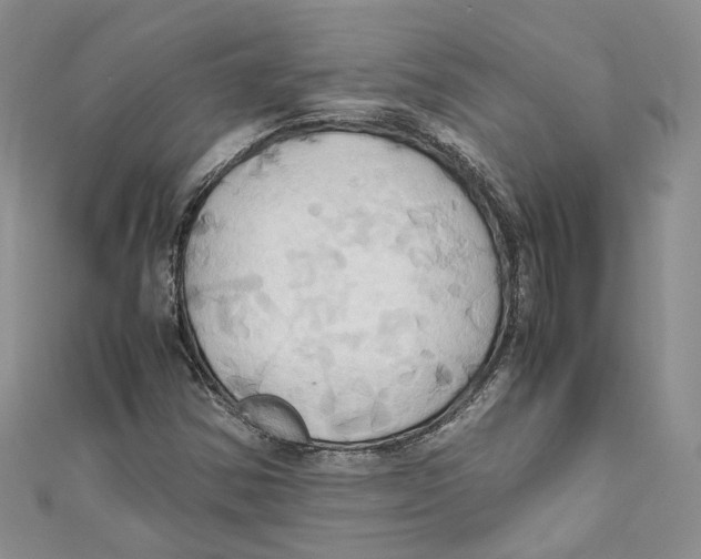 X0000110971354200907171701