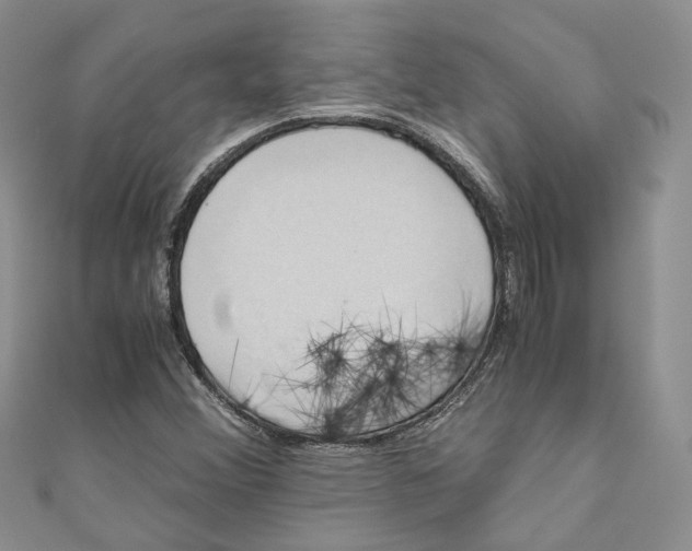 X0000110971356200907171701