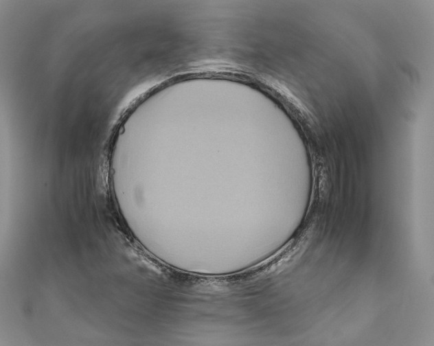 X0000110971358200907171701