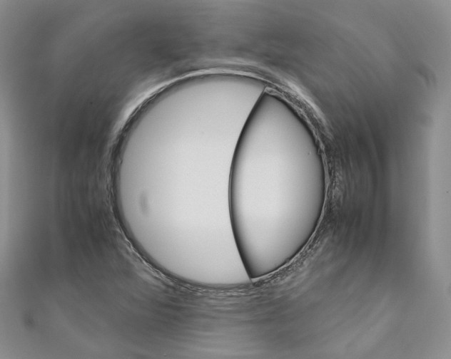 X0000110971360200907171701