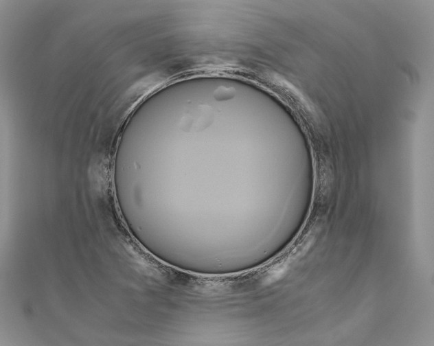 X0000110971361200907171701