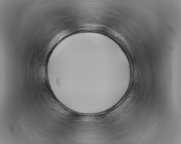 X0000110971362200907171701