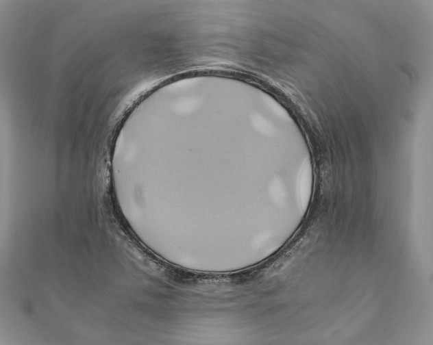 X0000110971363200907171701