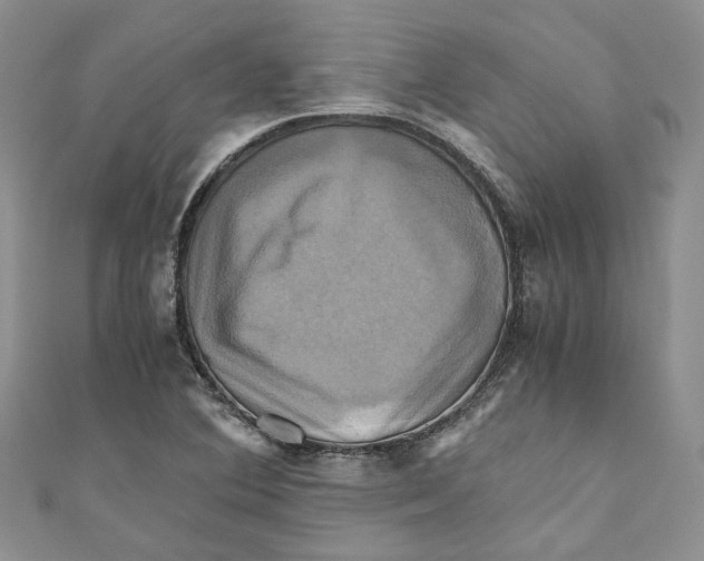 X0000110971364200907171701