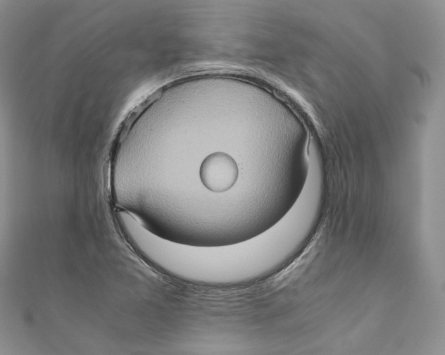 X0000110971365200907171701