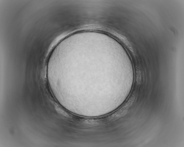 X0000110971366200907171701