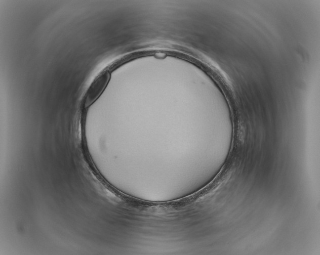 X0000110971368200907171701